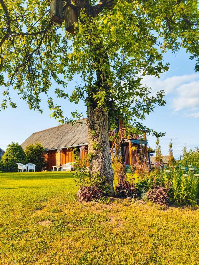 Zalioji Villa Paduyelis Exteriör bild
