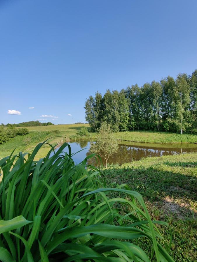 Zalioji Villa Paduyelis Exteriör bild