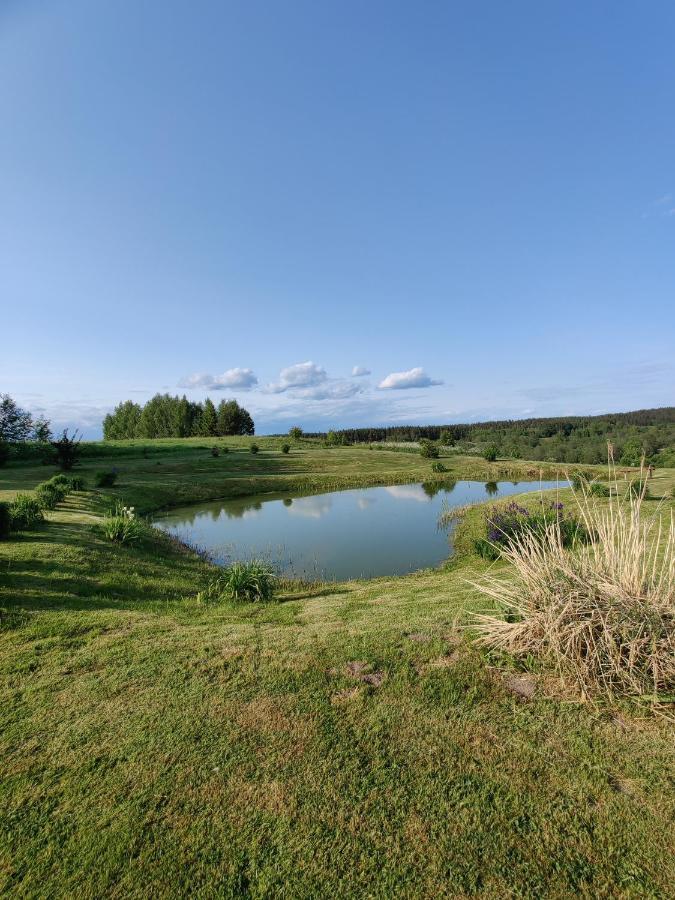 Zalioji Villa Paduyelis Exteriör bild