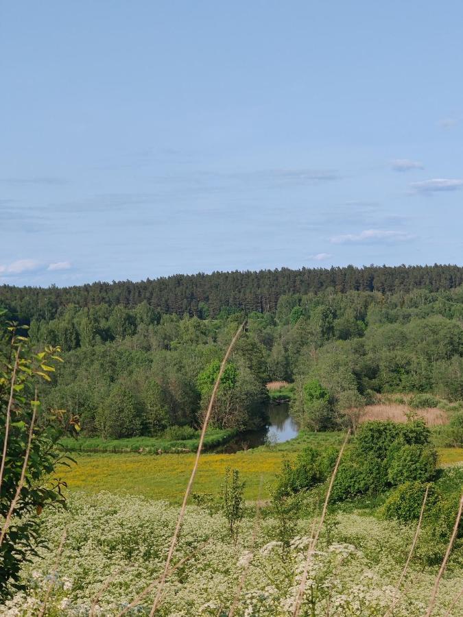 Zalioji Villa Paduyelis Exteriör bild
