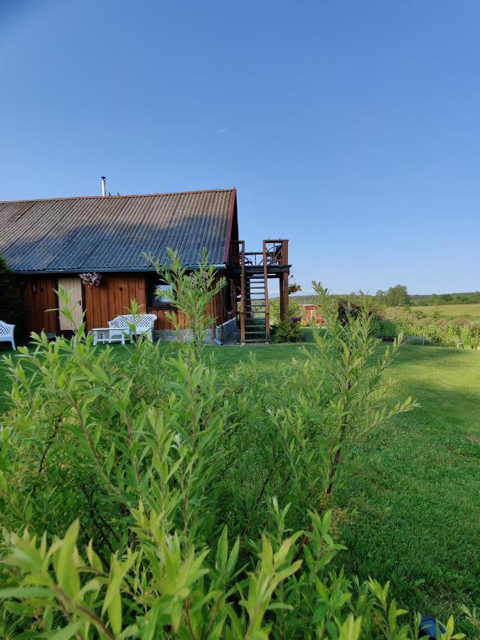 Zalioji Villa Paduyelis Exteriör bild