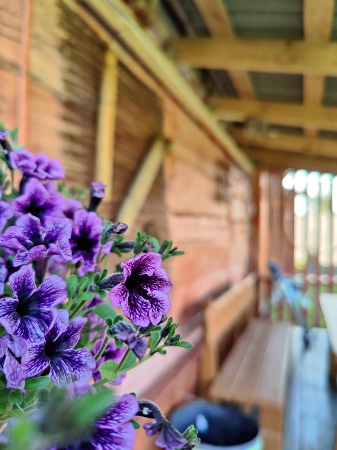 Zalioji Villa Paduyelis Exteriör bild