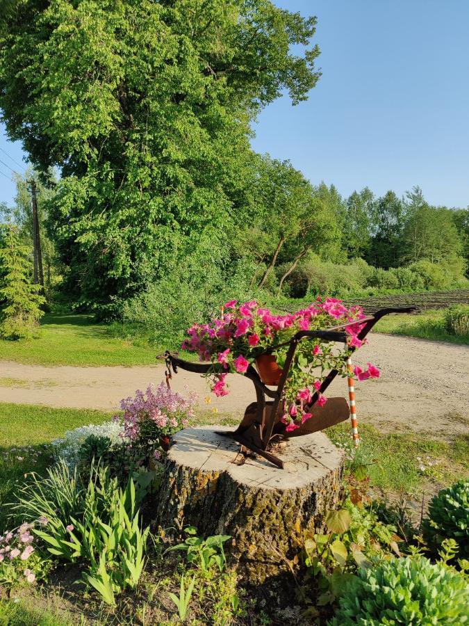 Zalioji Villa Paduyelis Exteriör bild