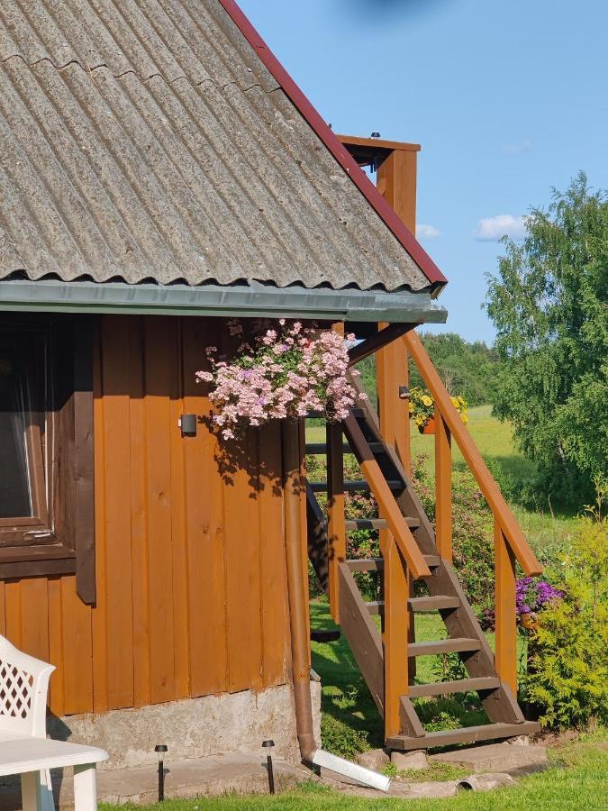 Zalioji Villa Paduyelis Exteriör bild