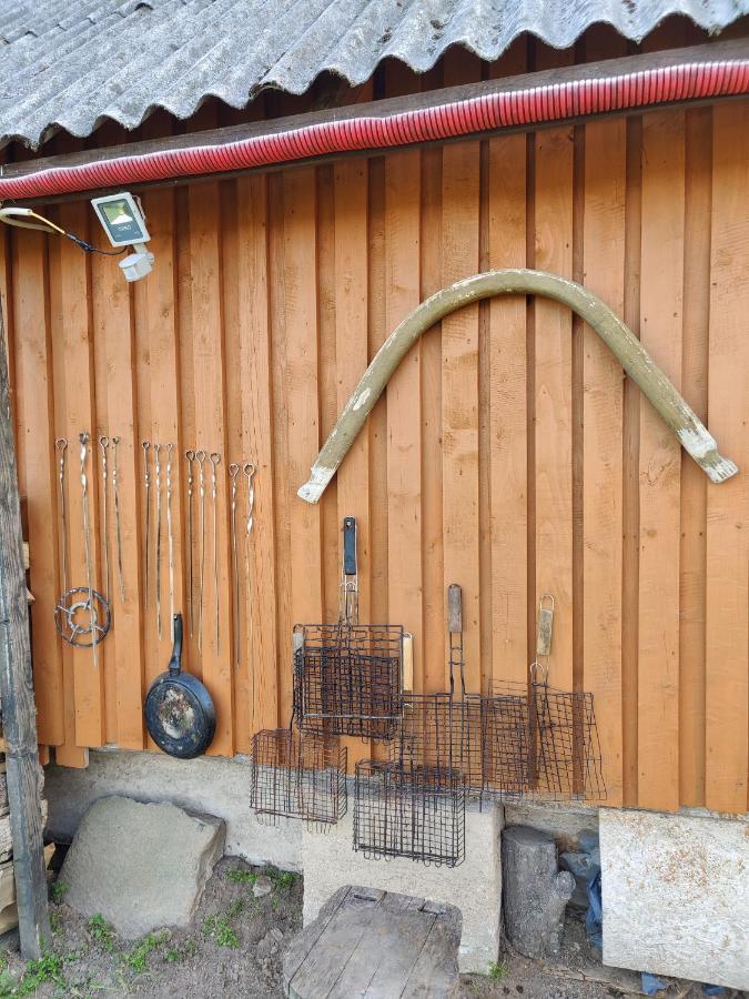 Zalioji Villa Paduyelis Exteriör bild