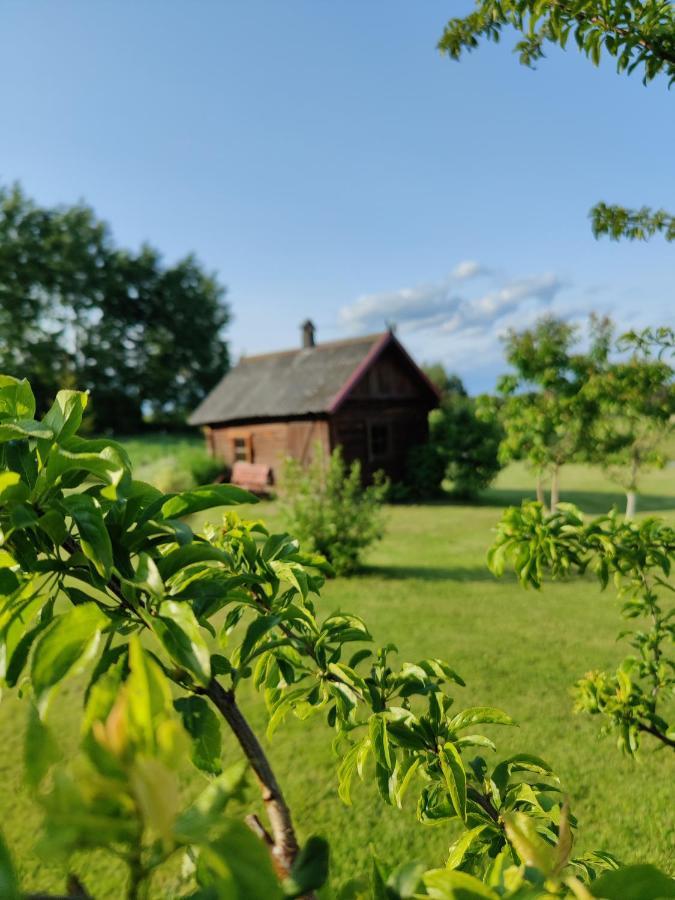 Zalioji Villa Paduyelis Exteriör bild